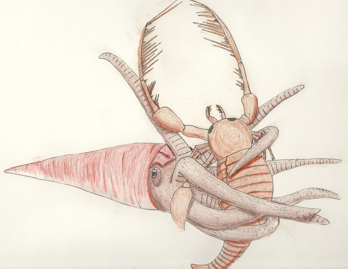 Trong bộ phim tài liệu mới đây "Life on Our Planet" trên kênh Netflix, đội ngũ làm phim đã tái hiện một cảnh săn mồi đặc biệt của loài mực khổng lồ cổ đại một cách sinh động và chi tiết chưa từng thấy trước đó.