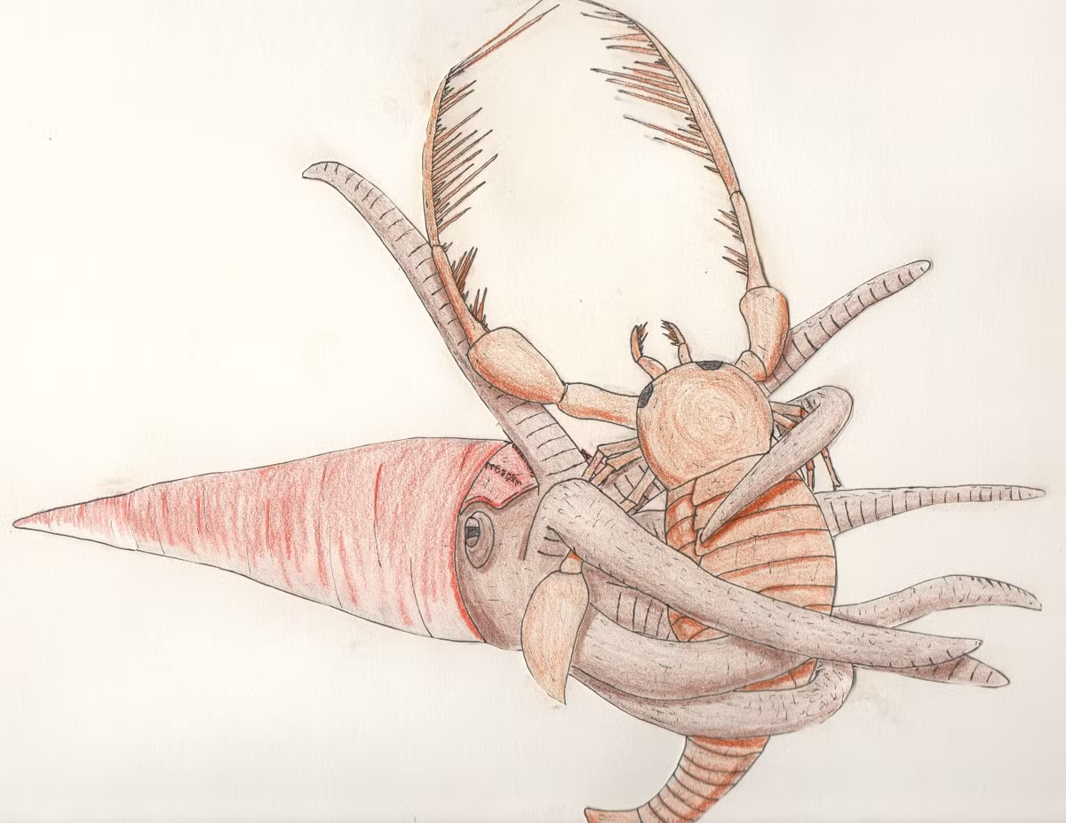 Trong bộ phim tài liệu mới đây "Life on Our Planet" trên kênh Netflix, đội ngũ làm phim đã tái hiện một cảnh săn mồi đặc biệt của loài mực khổng lồ cổ đại một cách sinh động và chi tiết chưa từng thấy trước đó.