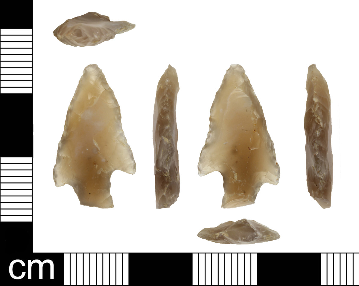 Tuy nhiên, vẫn chưa rõ vũ khí này được sử dụng để săn bắn hay trong chiến đấu.