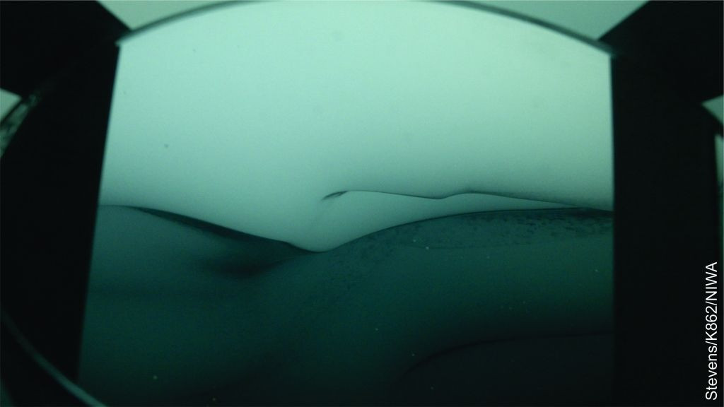 Các nhà nghiên cứu cũng bất ngờ phát hiện cột nước dưới lòng đất chia thành 4 hoặc 5 tầng nước riêng biệt chảy ngược chiều nhau. "Điều này thay đổi sự hiểu biết hiện tại của chúng tôi về mô hình của những môi trường này," Stevens nói. "Chúng tôi sẽ cắt giảm công việc của mình để dành thời gian tìm hiểu điều này có nghĩa là gì."