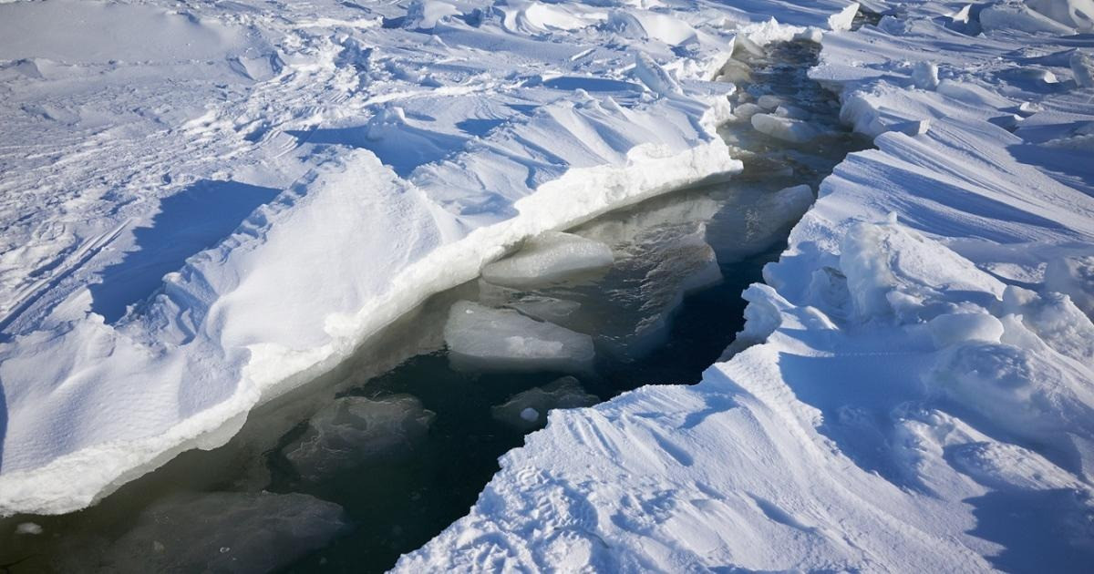 Khi các nhà nghiên cứu gửi một chiếc máy ảnh xuyên qua đường hầm băng giá vào trong hang, hàng trăm đốm nhỏ mờ ảo trong nước đã che khuất nguồn cấp dữ liệu video. Ban đầu, nhóm nghĩ rằng thiết bị của họ bị lỗi. Nhưng sau khi lấy nét lại máy ảnh, họ nhận ra rằng ống kính đang bị bao vây bởi các loài giáp xác nhỏ gọi là amphipods.