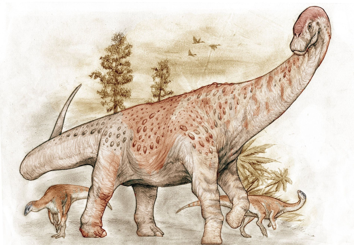 Mới đây, các nhà cổ sinh vật học ở Argentina đã phát hiện ra phần còn lại hóa thạch của một con khủng long cổ dài khổng lồ dài khoảng 30 mét sống cách đây khoảng 90 triệu năm.