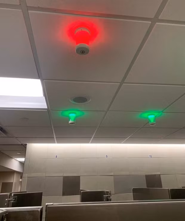 Chiếc đèn này sẽ cho bạn biết phòng vệ sinh nào có thể sử dụng.