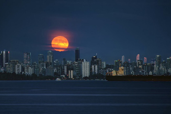 Có ba loại nguyệt thực: nửa tối, một phần và toàn phần. Trong hiện tượng nguyệt thực nửa tối, Mặt Trăng đi qua rìa ngoài của bóng Trái Đất (penumbra) và bề mặt Mặt Trăng chỉ mờ đi một chút.