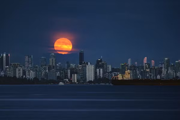 Có ba loại nguyệt thực: nửa tối, một phần và toàn phần. Trong hiện tượng nguyệt thực nửa tối, Mặt Trăng đi qua rìa ngoài của bóng Trái Đất (penumbra) và bề mặt Mặt Trăng chỉ mờ đi một chút.