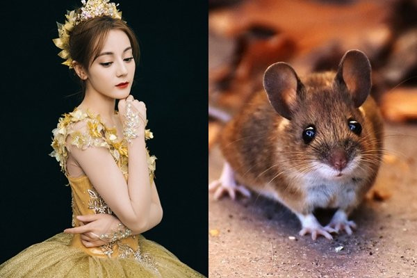 Nhờ tính cách hòa đồng, tuổi Tý có rất nhiều bạn bè, quý nhân giúp đỡ họ khi khó khăn. Họ sống rất được tin tưởng và được lòng người khác.