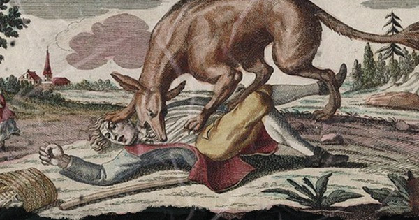 Đôi mắt rực lửa như màu lông, con vật đồ sộ có thể đứng bằng hai chân sau, cắn vỡ hộp sọ người xấu số với chỉ một cú đớp từ hàm răng khỏe mạnh. Người ta còn kháo nhau rằng con vật miễn nhiễm với súng đạn, khi mà không một thợ săn nào thành công trong việc hạ gục con thú bí ẩn.