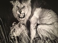 Đến khi nguồn thức ăn khan hiếm, những con sư tử này quay sang tấn công người dân địa phương. Thống kê của National Geographic cho biết, hơn 1.500 người đã bị đàn sư tử này giết hại trong 15 năm.