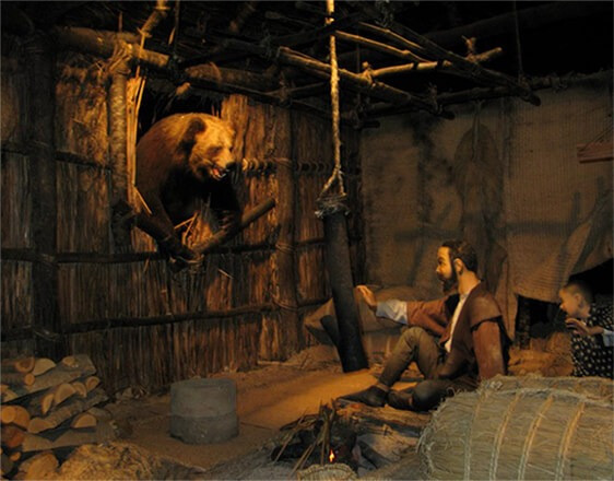 Đến 20 tháng 11 năm 1915, con gấu đó lại xuất hiện. Lo lắng về sự an toàn của gia đình và cả đàn ngựa, Ikeda cùng con thứ hai của mình, Kametaro, và hai người bạn cùng làng lên kế hoạch đi săn gấu, họ muốn giết chết nó để ngăn ngừa hậu họa. Cuộc đi săn không thành công giết chết nhưng đã khiến con gấu bị thương nặng.