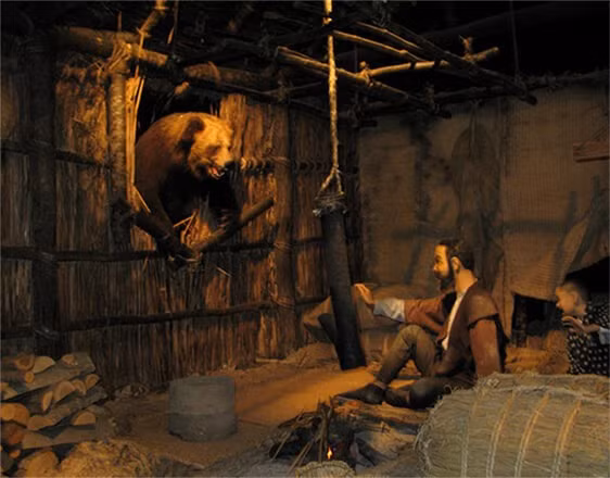 Đến 20 tháng 11 năm 1915, con gấu đó lại xuất hiện. Lo lắng về sự an toàn của gia đình và cả đàn ngựa, Ikeda cùng con thứ hai của mình, Kametaro, và hai người bạn cùng làng lên kế hoạch đi săn gấu, họ muốn giết chết nó để ngăn ngừa hậu họa. Cuộc đi săn không thành công giết chết nhưng đã khiến con gấu bị thương nặng.