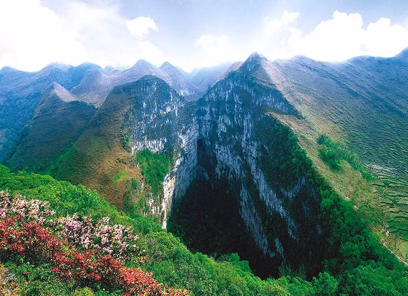 Tân Hoa xã cho biết, phát hiện mới này diễn ra ở Khu tự trị Choang Quảng Tây, gần làng Ping'e ở quận Leye. Quảng Tây. Nơi được biết đến với các thành tạo núi đá vôi tuyệt vời, bao gồm từ các hố sụt đến các cột đá đến các cây cầu tự nhiên và đã được UNESCO công nhận là di sản thế giới trong khu vực.