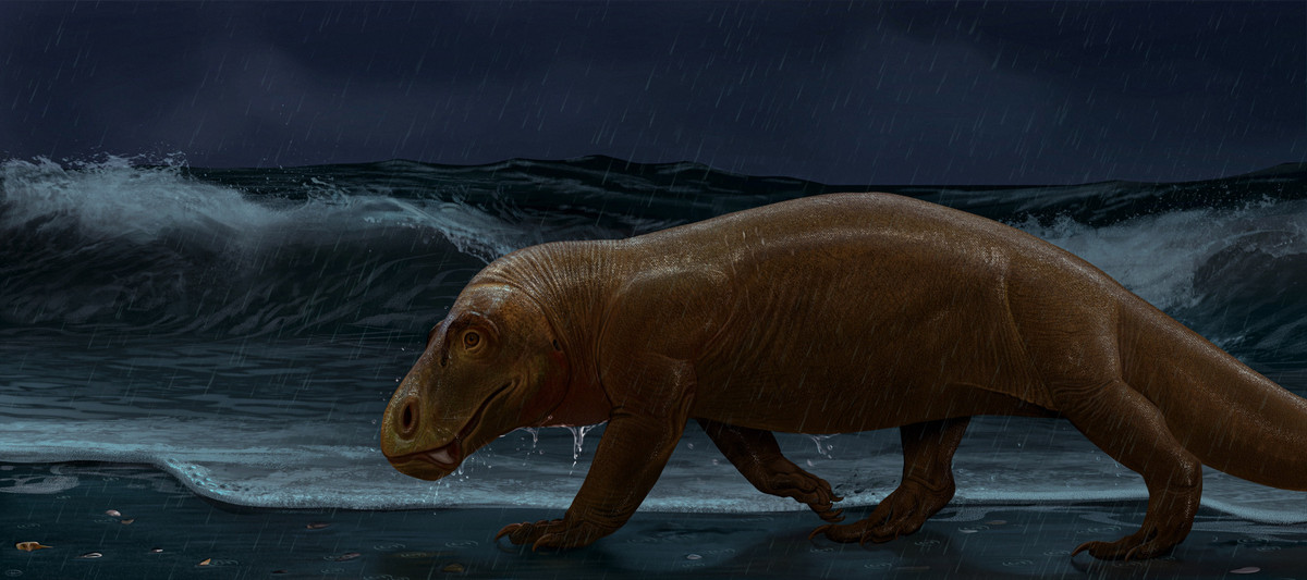 Những loài ăn thịt như Titanophoneus, hay còn được gọi là “sát nhân khổng lồ” là một trong số những động vật thống trị Trái Đất khoảng thời gian đó. Tuy nhiên,chúng đã chết trong một vụ tuyệt chủng hàng loạt ở Tầng Capitanian khoảng 260 triệu năm trước.