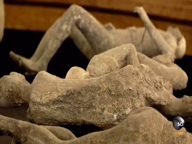 Anh ta thuộc một dòng dõi hiếm hoi có nguồn gốc xa xôi từ Đông Phi - dòng máu cũng xuất hiện nhiều trong dân cư vùng Cận Đông (Thổ Nhĩ Kỳ, Yemen, Ai Cập, Jordan, Oman, Ả Rập Saudi...) và một số đảo vùng Địa Trung Hải.