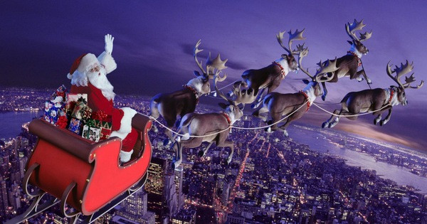 Gạc của con đực có thể dài tới 130cm và nặng tới 15kg, khiến chúng to hơn và nặng hơn đáng kể so với gạc của con cái. Thực tế này cho thấy rằng, tất cả những con tuần lộc kéo xe trượt tuyết của ông già Noel, bao gồm cả Rudolph nổi tiếng, rất có thể là con cái.