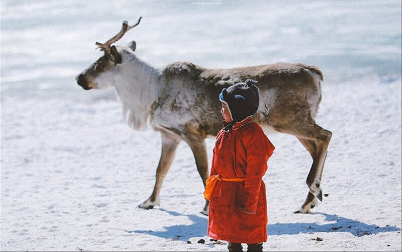 Một số nhà khoa học cho rằng tuần lộc là một trong những loài động vật được con người thuần hóa đầu tiên. Nó được thuần hóa vào khoảng 2.000 năm trước. Ở Bắc Cực hiện nay vẫn dựa vào loài động vật này để lấy thực phẩm, quần áo và vật liệu làm nơi trú ẩn.