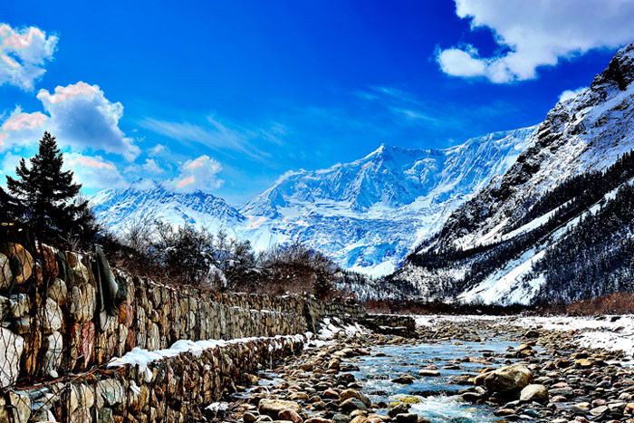 Có tổng cộng 968 loài vi sinh vật đã được xác định, chủ yếu là vi khuẩn và có cả tảo, cổ khuẩn và nấm. Kinh ngạc hơn, 98% chúng chưa từng được biết đến và ghi nhận trên Trái Đất.