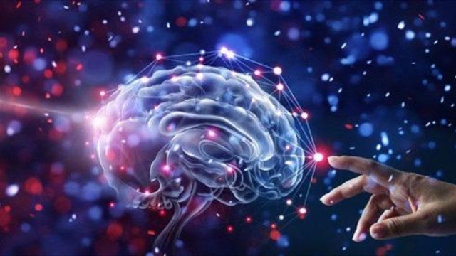 Kết quả của nghiên cứu mới này cũng tương tự với kết quả đo sóng não của loài chuột đã từng được thực hiện trước đây. Báo cáo về trải nghiệm cận tử (người suýt chết hoặc đã bị chết lâm sàng và được cứu sống) cũng từng cho kết quả tương tự.