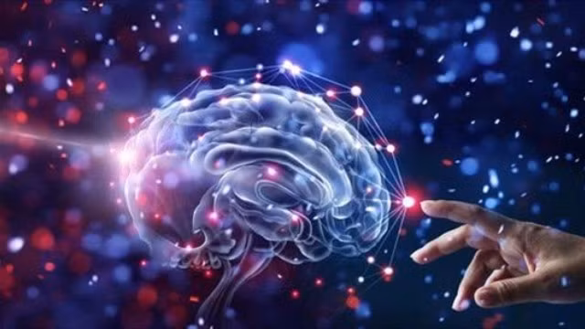 Kết quả của nghiên cứu mới này cũng tương tự với kết quả đo sóng não của loài chuột đã từng được thực hiện trước đây. Báo cáo về trải nghiệm cận tử (người suýt chết hoặc đã bị chết lâm sàng và được cứu sống) cũng từng cho kết quả tương tự.