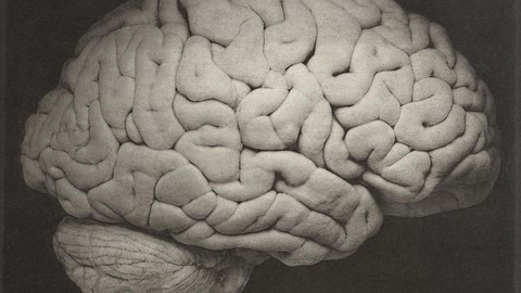 "Chúng ta có thể biết từ nghiên cứu này rằng những người chúng ta thân yêu có lẽ đang nghĩ về những khoảnh khắc đẹp nhất cuộc đời họ trước khi nhắm mắt xuôi tay", Tiến sĩ Zemmar nói thêm.