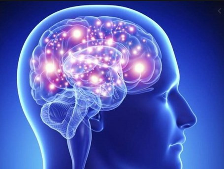 Trong 900 giây sóng não được ghi lại, các mô hình sóng não nhịp nhàng được nhận định là tương tự như những mô hình xảy ra khi con người đang mơ, nhớ lại ký ức và khi thiền định.