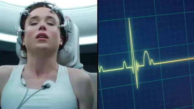 Thêm vào đó, loại sóng não cụ thể được ghi lại trong bộ não sắp chết - được gọi là dao động thần kinh - cho thấy người đó đang nhìn thấy cuộc sống của họ lóe lên trước mắt thông qua cơ chế "truy xuất bộ nhớ".