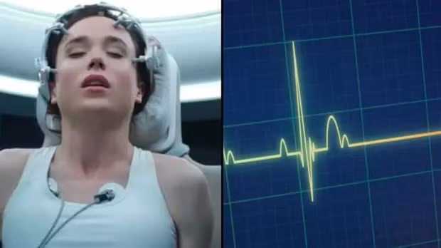 Thêm vào đó, loại sóng não cụ thể được ghi lại trong bộ não sắp chết - được gọi là dao động thần kinh - cho thấy người đó đang nhìn thấy cuộc sống của họ lóe lên trước mắt thông qua cơ chế "truy xuất bộ nhớ".