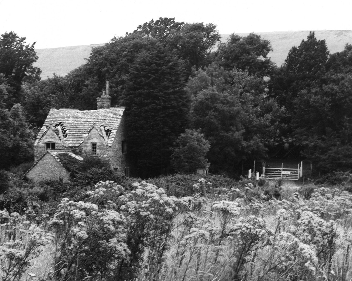 Địa hình của vùng được cho là lý tưởng cho các cuộc diễn tập quân sự. Khi quân đội Mỹ đến đây vào giữa Thế chiến 2, họ đã lập nên nhiều căn cứ mới. Trước tình hình đó, cộng với việc lo cho an nguy của thường dân trong chiến tranh, họ đã yêu cầu dân làng rời đi và tái định cư ở một địa điểm mới.