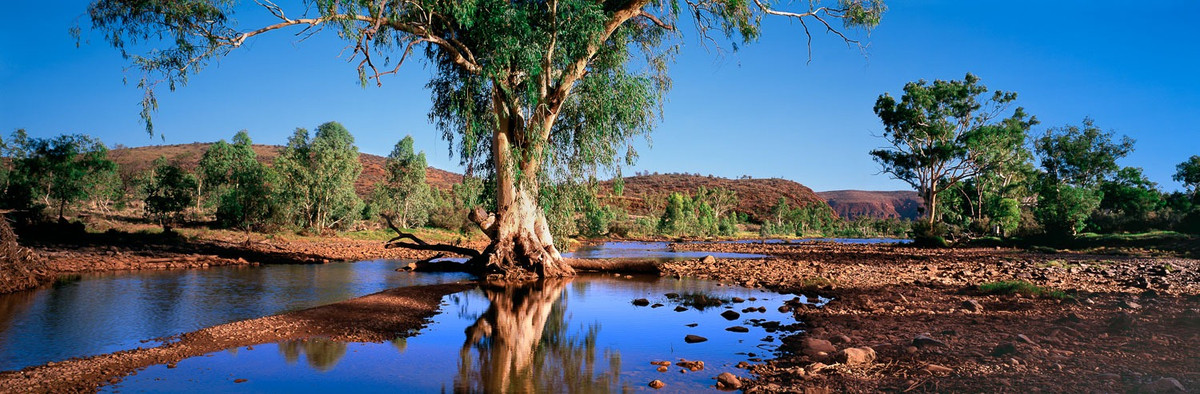 Các ước tính về tuổi của dòng sông này rất khác nhau nhưng hầu hết đều cho rằng nó nằm trong khoảng từ 10 đến 360 triệu năm tuổi. Theo một nghiên cứu , con sông này được coi là “con sông lâu đời thứ hai trên thế giới” trong một chiến dịch quảng cáo vào những năm 1970 để ngăn dòng sông bị xây đập.