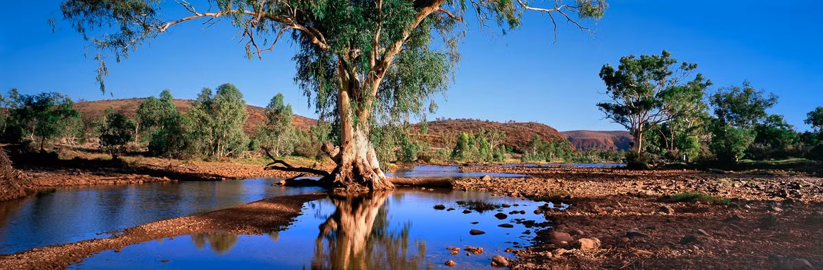 Các ước tính về tuổi của dòng sông này rất khác nhau nhưng hầu hết đều cho rằng nó nằm trong khoảng từ 10 đến 360 triệu năm tuổi. Theo một nghiên cứu , con sông này được coi là “con sông lâu đời thứ hai trên thế giới” trong một chiến dịch quảng cáo vào những năm 1970 để ngăn dòng sông bị xây đập.