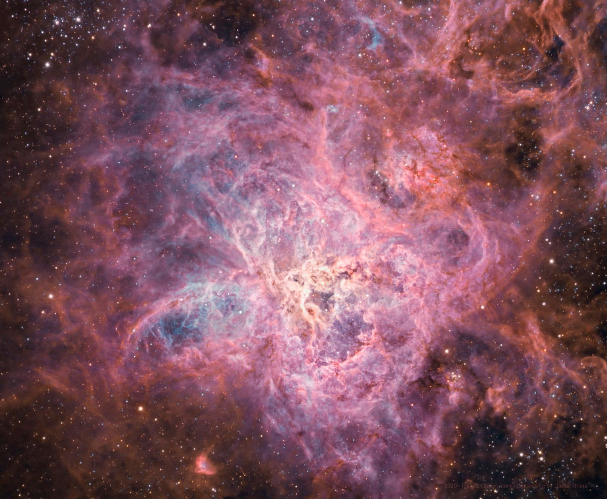 Chỉ cách chúng ta 161.000 năm ánh sáng, Tarantula là một ví dụ dễ thấy về thời kỳ phát triển rực rỡ của vũ trụ.