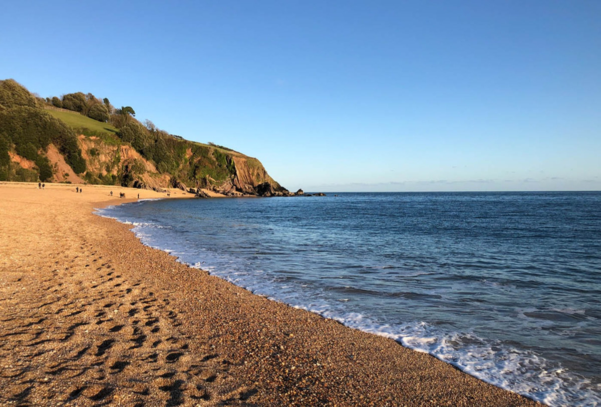 "Nó rất to," Crosby nói, điều đó có nghĩa là nó phải đến từ một loài cá voi khá lớn. Một số loài cá voi lớn thường xuyên đi qua vùng biển của Vương quốc Anh, bao gồm cá voi vây, cá voi minke và cá voi lưng gù, hoặc cũng có thể là những loài ít gặp hơn như cá nhà táng hay cá voi đầu cong.