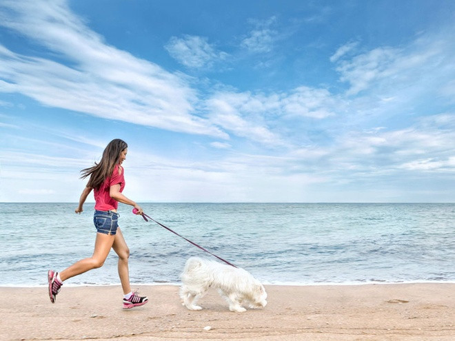 Helen Marlow, một người dân địa phương đã phát hiện ra những "túi thịt" kỳ lạ khi đang dắt chó đi dạo trên Bãi biển Marazion, gần Penzance ở Cornwall, Anh. Marlow cho biết: “Nó dường như là một vật chất màu trắng, giống như thịt, nó không có đặc điểm rõ ràng, chẳng hạn như tứ chi".