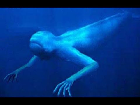 Đặc biệt, hình dạng của quái vật biển khá giống con người với hai tay có đủ năm ngón, hai chân, mắt to và khe miệng. Tuy nhiên, họ không thể xác định nó thuộc loài giống nào.