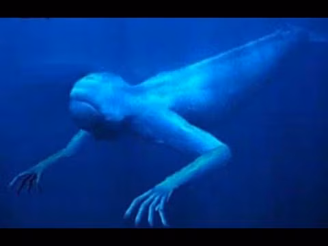 Đặc biệt, hình dạng của quái vật biển khá giống con người với hai tay có đủ năm ngón, hai chân, mắt to và khe miệng. Tuy nhiên, họ không thể xác định nó thuộc loài giống nào.