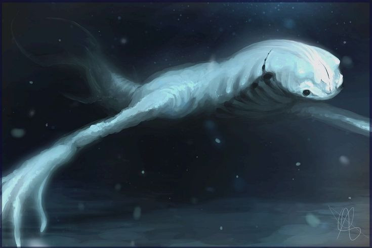 Giáo sư K. Hellmut thuộc trường ĐH New York, Mỹ cho rằng: “Những bằng chứng cho thấy không loại trừ khả năng Ningen có thực, nhưng đó chỉ là một cá thể đột biến của loài cá voi trắng, khiến người ta có nhiều sự lầm tưởng.