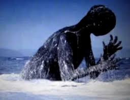 Trên thực tế những loài vật đột biến vẫn luôn được gắn với danh xưng là quái vật, bởi vẻ bề ngoài có nhiều điểm không giống đồng loại của chúng”.