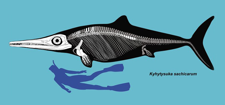 "Số lượng lớn hóa thạch thằn lằn cá tìm thấy trong khu vực, bao gồm bộ xương hoàn chỉnh của cá thể trưởng thành, sắp trưởng thành và con non sẽ mang tới cái nhìn độc đáo về quá khứ", tiến sĩ Dean Lomax, nhà cổ sinh vật học làm việc trong dự án, cho biết.