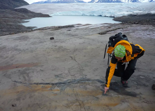 "Hóa thạch thằn lằn cá ở tình trạng nguyên vẹn đến vậy trong môi trường cực hạn, phát lộ do sông băng thu hẹp dần, là phát hiện chưa từng có ở bất kỳ nơi nào khác trên thế giới."