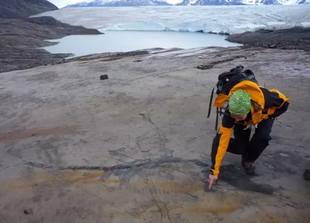 "Hóa thạch thằn lằn cá ở tình trạng nguyên vẹn đến vậy trong môi trường cực hạn, phát lộ do sông băng thu hẹp dần, là phát hiện chưa từng có ở bất kỳ nơi nào khác trên thế giới."