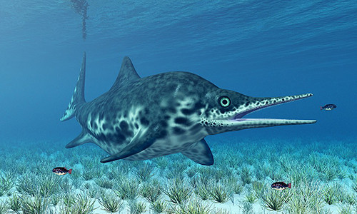 Hóa thạch của Fiona được phát hiện trong chuyến thám hiểm tới sông băng Tyndall vào tháng 3 và tháng 4/2022. Nhóm nghiên cứu cần leo 10 giờ hoặc cưỡi ngựa để tiếp cận sông băng này, khiến việc thu thập mẫu vật đặc biệt khó khăn.