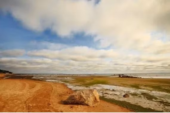 Ngoài ra, các đại dương cũng góp phần duy trì vòng tuần hoàn nước. Chúng bốc hơi thành mây và sau đó lại tạo ra mưa trở lại Trái Đất.