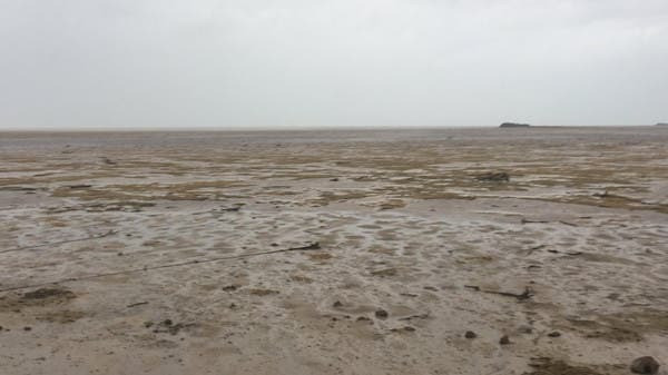 Do nhiệt độ cao và thiếu oxy, chuỗi sinh học của toàn bộ Trái Đất sẽ bị phá hủy và 99% sinh vật sẽ bị tuyệt chủng. Trong một vài năm nữa, trái đất sẽ mất đi màu xanh, trở thành một hành tinh xám xịt và không có sự sống.