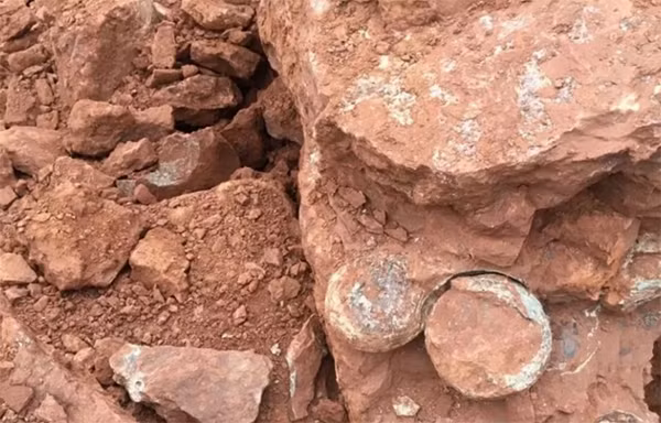 "Phát hiện mới nhấn mạnh rằng hiện tượng trứng trong trứng không phải chỉ xảy ra ở chim, đồng thời cho thấy khủng long chân thằn lằn có hành vi sinh sản rất giống những loài khủng long Archosauria khác", nhóm nghiên cứu cho biết.