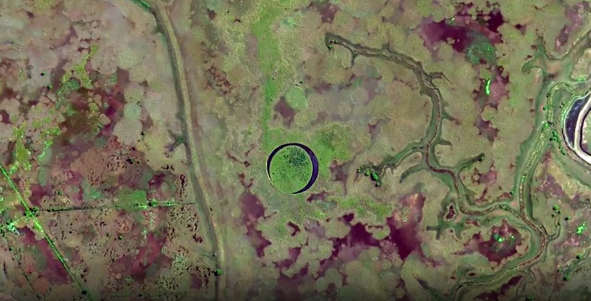 Tuy nhiên phải tới lần khảo sát thứ hai, họ mới tìm thấy vùng đầm lầy xung quanh đảo Con Mắt sau 8 tiếng đi bộ.