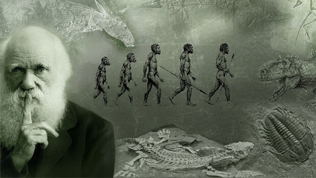 5. Khái niệm về di truyền của Darwin. Nhà khoa học Charles Darwin đã đạt được kỳ tích khi đưa ra thuyết chọn lọc tự nhiên vào năm 1859.