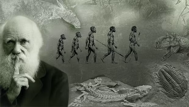 5. Khái niệm về di truyền của Darwin. Nhà khoa học Charles Darwin đã đạt được kỳ tích khi đưa ra thuyết chọn lọc tự nhiên vào năm 1859.