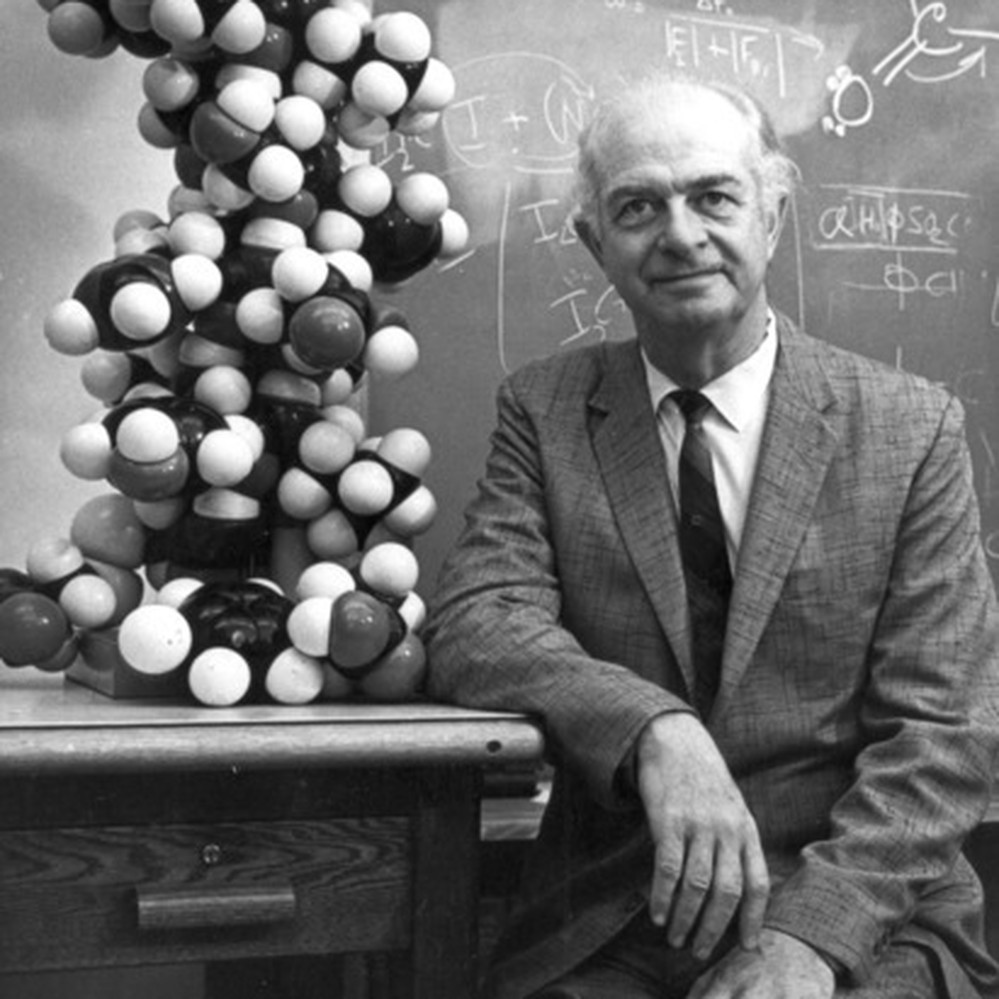 Học thuyết của Linus Pauling cho rằng, ADN có cấu tạo chuỗi xoắn ba thay vì hai như đa số các nhà khoa học công nhận. Pauling dường như đã quá tự tin bởi vì thành công của ông trước đó trong việc tìm ra mô hình cấu trúc của protein.