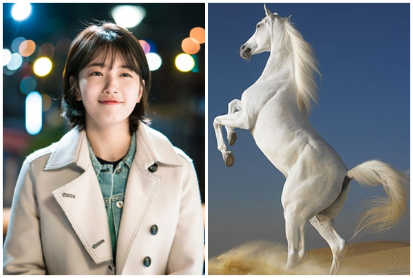 Người tuổi này vốn là những người sống vì gia đình, số tiền họ kiếm được có thể gánh vác cả gia đình trên vai, giúp họ tận hưởng cuộc sống viên mãn sung túc đến cuối đời.