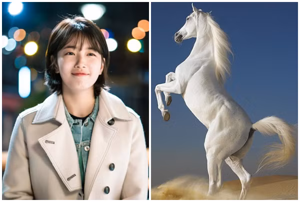 Người tuổi này vốn là những người sống vì gia đình, số tiền họ kiếm được có thể gánh vác cả gia đình trên vai, giúp họ tận hưởng cuộc sống viên mãn sung túc đến cuối đời.