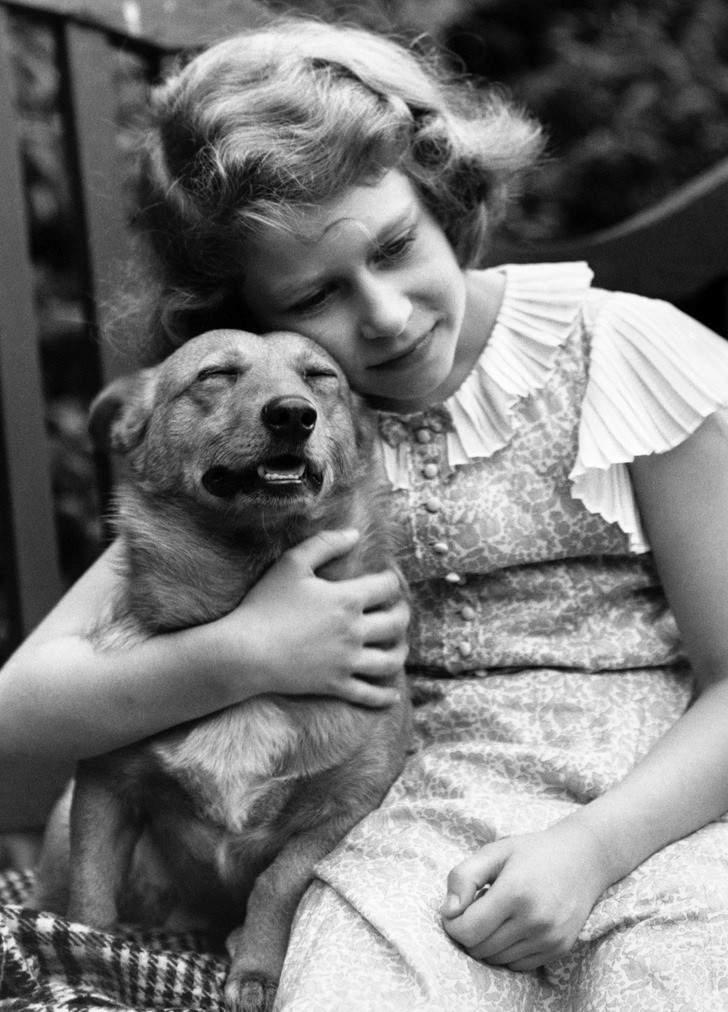 Nữ hoàng Elizabeth II đã nhận được chú chó Corgi tên là Susan, như một món quà sinh nhật lần thứ 18 vào năm 1944.